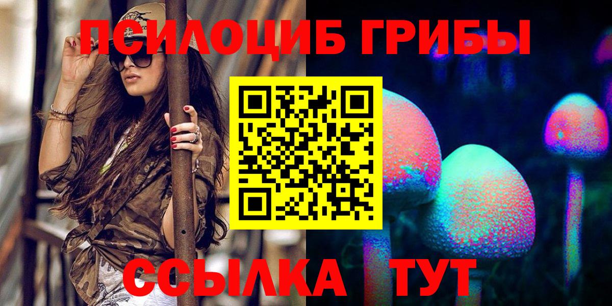 Галлюциногенные грибы Psilocybe Городец