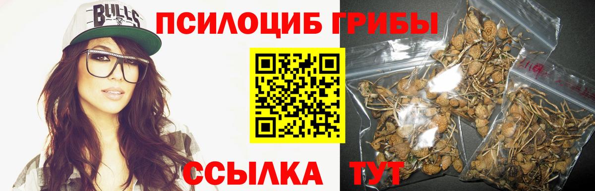 Псилоцибиновые грибы Psilocybe  Псилоцибиновые грибы GOLDEN TEACHER  Вход с VPN  Городец 